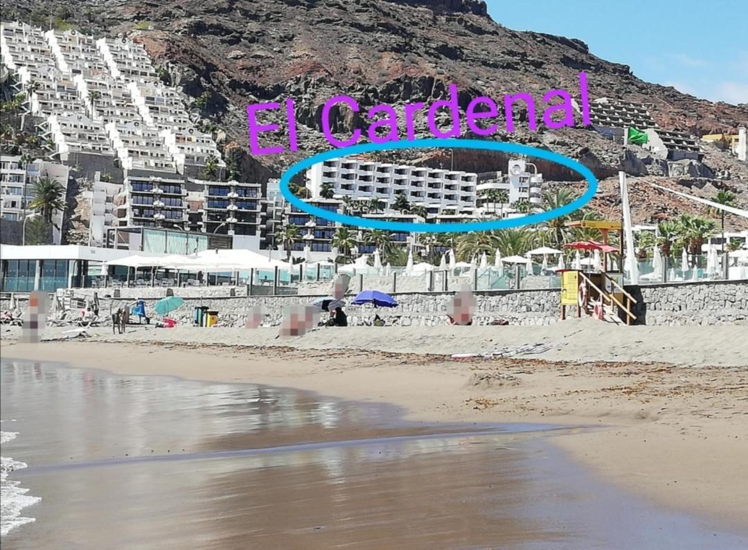 Apartamento El Cardenal Mick & Rosa Playa Del Cura (Gran Canaria) Exterior foto